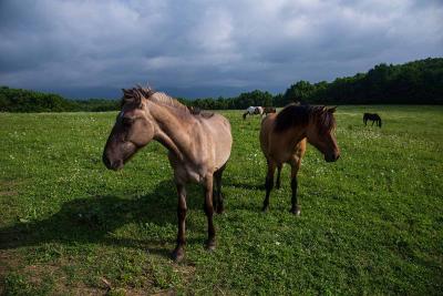 Прикрепленное изображение: IMG_0571.jpg